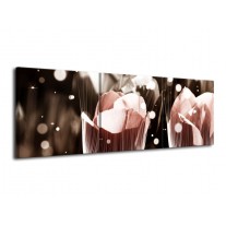 Glas schilderij Tulp | Bruin, Grijs | 120x40cm 3Luik