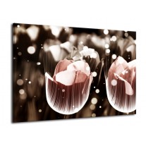 Glas schilderij Tulp | Bruin, Grijs | 70x50cm 1Luik