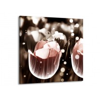 Glas schilderij Tulp | Bruin, Grijs | 70x70cm 1Luik