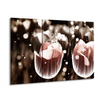 Glas schilderij Tulp | Bruin, Grijs | 90x60cm 3Luik