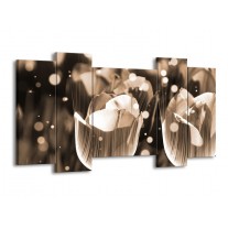 Canvas schilderij Tulp | Grijs | 120x65 5Luik