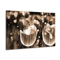 Glas schilderij Tulp | Grijs | 90x60cm 3Luik