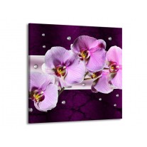 Canvas schilderij Orchidee | Paars, Wit | 70x70cm 1Luik
