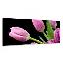 Glas schilderij Tulpen | Roze, Zwart, Groen | 145x58cm 1Luik