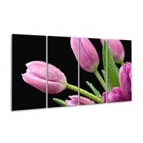 Glas schilderij Tulpen | Roze, Zwart, Groen | 160x80cm 4Luik