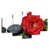 Glas schilderij Roos | Rood, Zwart, Wit | 150x80cm 5Luik