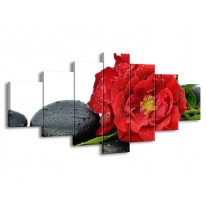Glas schilderij Roos | Rood, Zwart, Wit | 210x100cm 7Luik