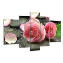 Glas schilderij Roos | Roze, Grijs | 170x100cm 5Luik