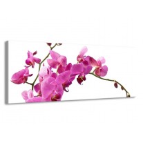 Glas schilderij Orchidee | Roze, Wit | 145x58cm 1Luik