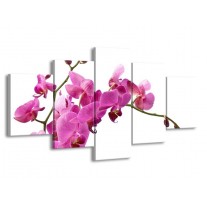 Glas schilderij Orchidee | Roze, Wit | 150x80cm 5Luik