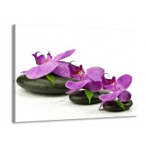 Glas schilderij Orchidee | Paars, Wit | 100x70cm 1Luik