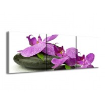 Glas schilderij Orchidee | Paars, Wit | 150x50cm 3Luik