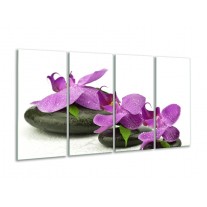 Glas schilderij Orchidee | Paars, Wit | 160x80cm 4Luik