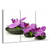Canvas schilderij Orchidee | Paars, Wit | 165x100cm 3Luik