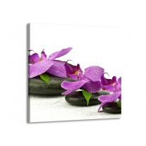 Glas schilderij Orchidee | Paars, Wit | 50x50cm 1Luik