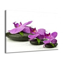 Glas schilderij Orchidee | Paars, Wit | 70x50cm 1Luik