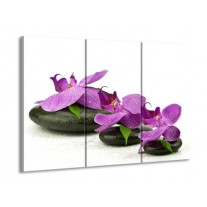 Glas schilderij Orchidee | Paars, Wit | 90x60cm 3Luik