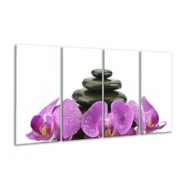 Glas schilderij Orchidee | Paars, Zwart, Wit | 160x80cm 4Luik