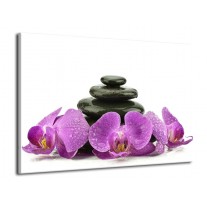 Canvas schilderij Orchidee | Paars, Zwart, Wit | 70x50cm 1Luik
