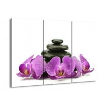 Glas schilderij Orchidee | Paars, Zwart, Wit | 90x60cm 3Luik