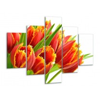 Glas schilderij Tulpen | Oranje, Groen, Wit | 100x70cm 5Luik