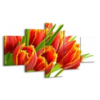 Glas schilderij Tulpen | Oranje, Groen, Wit | 150x80cm 5Luik
