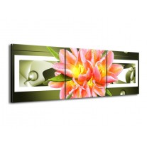 Canvas schilderij Modern | Groen, Roze | 150x50cm 3Luik