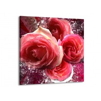Canvas schilderij Roos | Roze, Paars, Wit | 70x70cm 1Luik