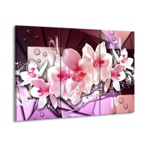 Glas schilderij Orchidee | Paars, Roze, Wit | 90x60cm 3Luik