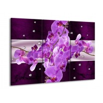 Glas schilderij Orchidee | Paars | 90x60cm 3Luik
