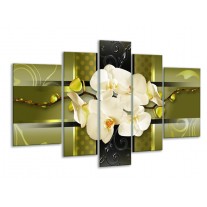 Glas schilderij Orchidee | Groen | 170x100cm 5Luik