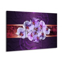 Glas schilderij Orchidee | Paars | 90x60cm 3Luik