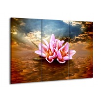 Glas schilderij Abstract | Roze, Bruin | 90x60cm 3Luik