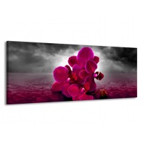 Canvas schilderij Orchidee | Rood, Grijs, Paars | 145x58cm 1Luik
