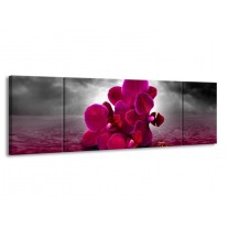 Glas schilderij Orchidee | Rood, Grijs, Paars | 170x50cm 3Luik