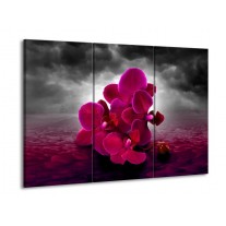 Canvas schilderij Orchidee | Rood, Grijs, Paars | 90x60cm 3Luik