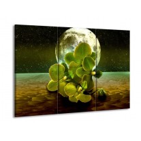 Glas schilderij Orchidee | Groen, Goud, Bruin | 90x60cm 3Luik