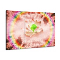 Glas schilderij Lelie | Roze, Groen | 90x60cm 3Luik