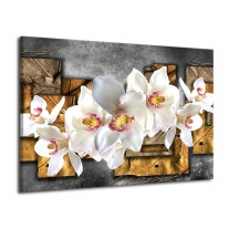 Canvas schilderij Orchidee | Grijs, Bruin, Wit | 70x50cm 1Luik