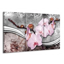 Glas schilderij Orchidee | Roze, Grijs | 165x100cm 3Luik