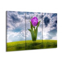 Glas schilderij Tulp | Paars, Grijs, Groen | 90x60cm 3Luik