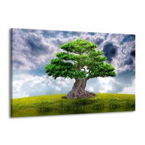 Canvas schilderij Boom | Groen, Grijs | 140x90cm 1Luik