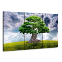 Canvas schilderij Boom | Groen, Grijs | 165x100cm 3Luik