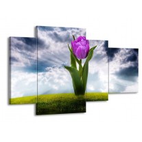 Canvas schilderij Tulp | Grijs, Paars | 120x75cm 4Luik