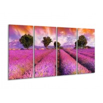 Glas schilderij Landschap | Roze, Oranje, Grijs | 160x80cm 4Luik