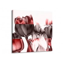 Canvas schilderij Tulp | Rood, Wit, Bruin | 70x70cm 1Luik