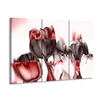Canvas schilderij Tulp | Rood, Wit, Bruin | 90x60cm 3Luik