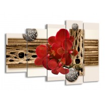 Canvas schilderij Orchidee | Rood, Bruin, Wit | 150x100cm 5Luik