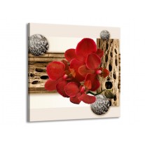 Glas schilderij Orchidee | Rood, Bruin, Wit | 70x70cm 1Luik