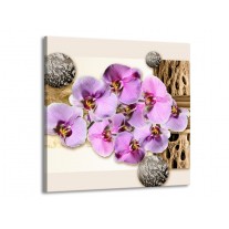 Glas schilderij Orchidee | Roze, Wit, Bruin | 50x50cm 1Luik